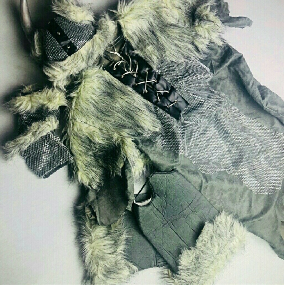 Viking costume
